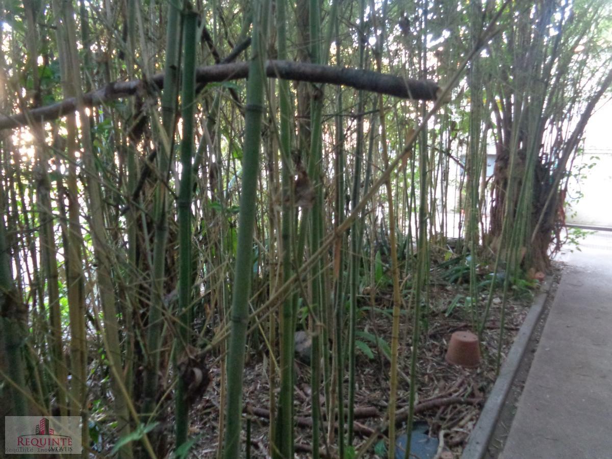 Sobrado, 4 quartos - Foto 3