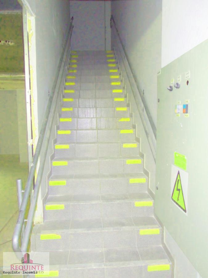 Depósito-Galpão, 340 m² - Foto 4