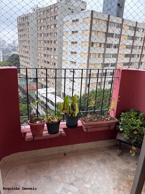 Apartamento, 3 quartos, 100 m² - Foto 16